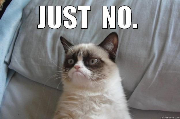 JUST  NO.  Grumpy Cat