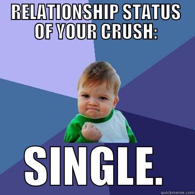 RELATIONSHIP STATUS OF YOUR CRUSH: SINGLE. Success Kid