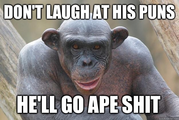 don't laugh at his puns he'll go ape shit  The Most Interesting Chimp In The World