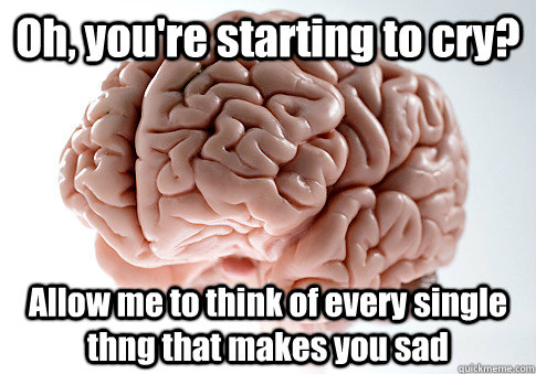 Oh, you're starting to cry? Allow me to think of every single thng that makes you sad  Scumbag Brain