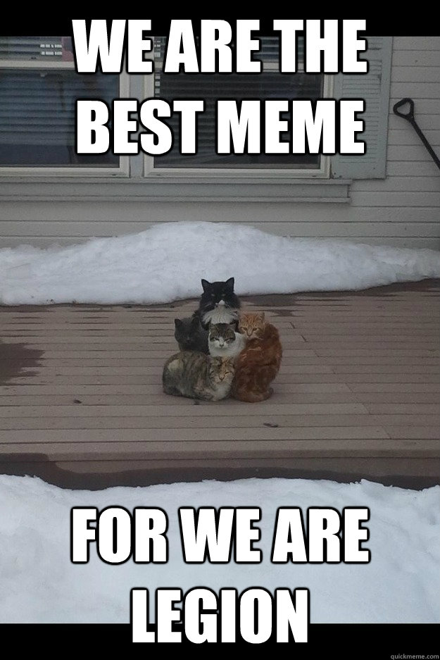 we are the best meme for we are legion  - we are the best meme for we are legion   legion of cats