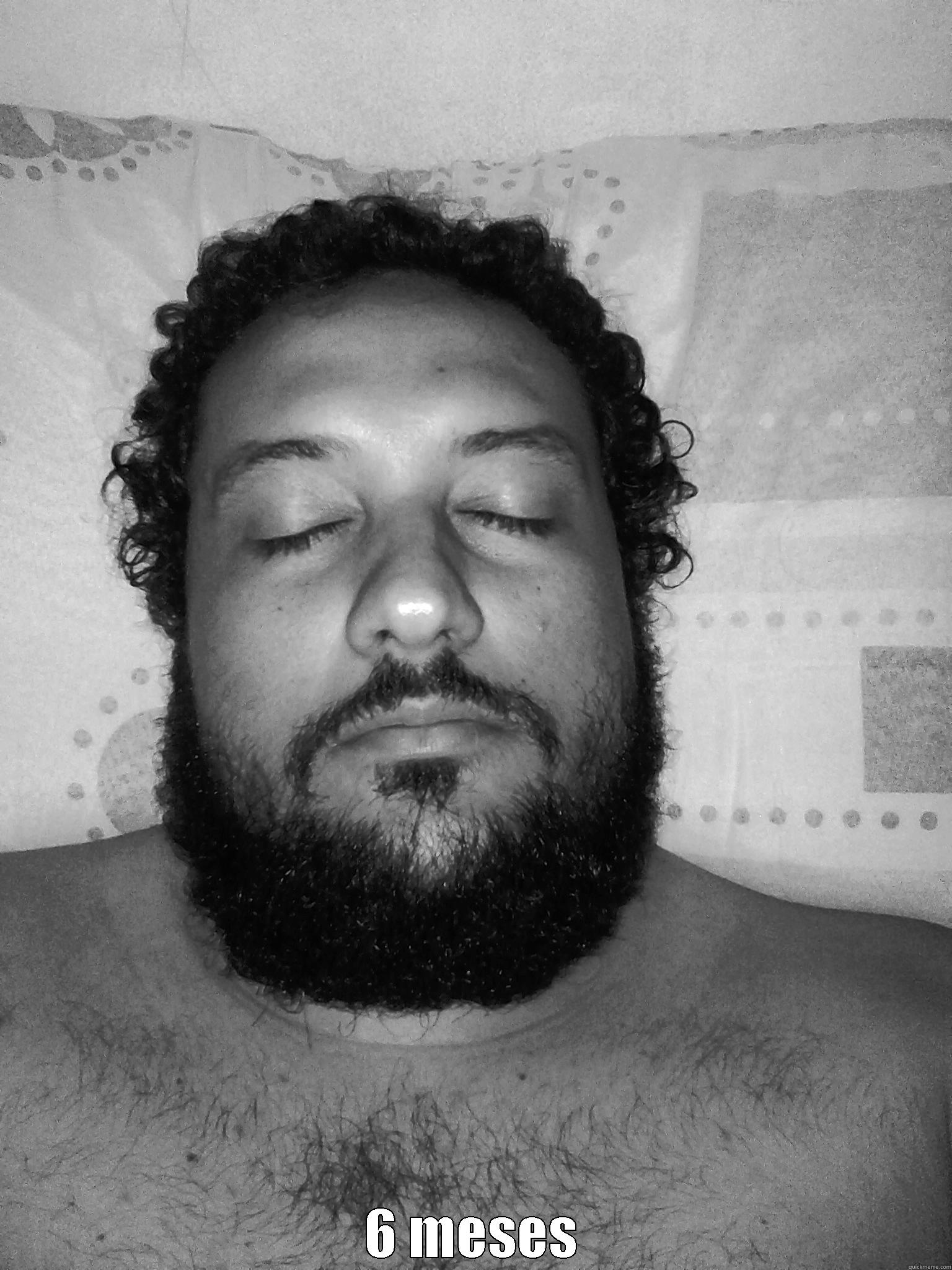  6 MESES Misc