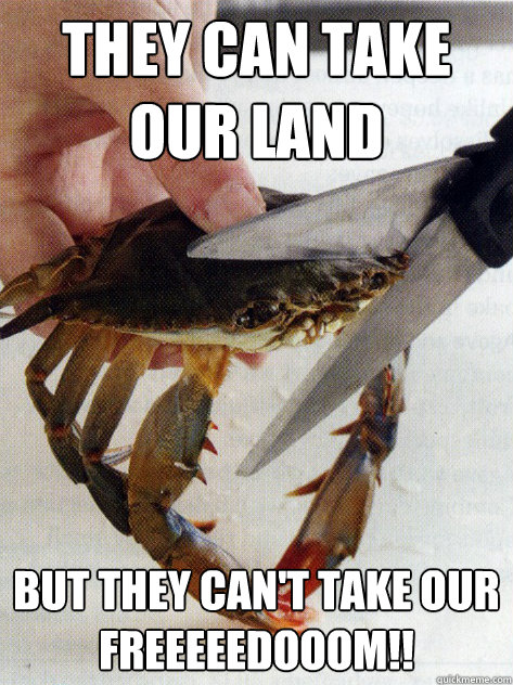 They can take our land But they can't take our               FREEEEEDOOOM!!  Optimistic Crab