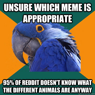 Unsure which meme is appropriate 95% of reddit doesn't know what the different animals are anyway - Unsure which meme is appropriate 95% of reddit doesn't know what the different animals are anyway  Paranoid Parrot