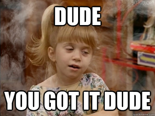 dude you got it dude  High Michelle Tanner