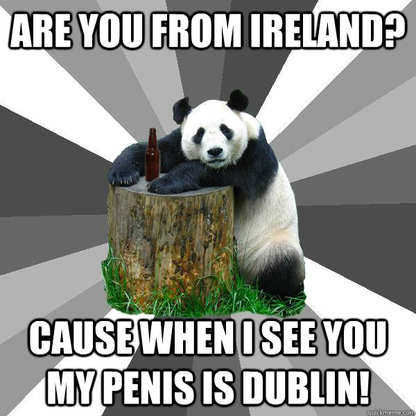 ARE YOU FROM IRELAND? CAUSE WHEN I SEE YOU MY PENIS IS DUBLIN!  Pickup-Line Panda