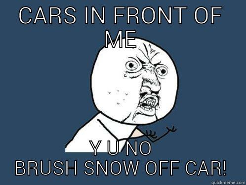 CARS IN FRONT OF ME Y U NO BRUSH SNOW OFF CAR! Y U No