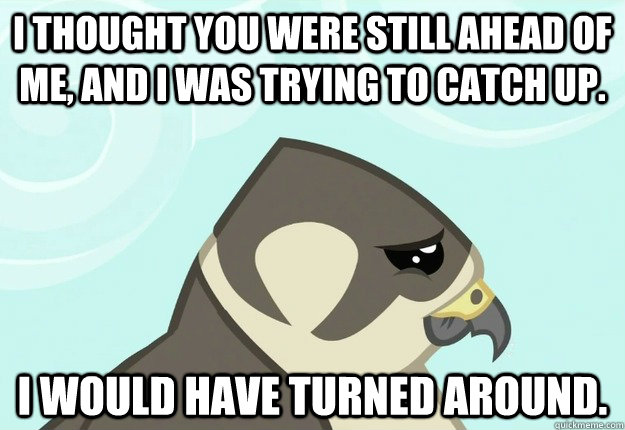 I thought you were still ahead of me, and I was trying to catch up. I would have turned around.  