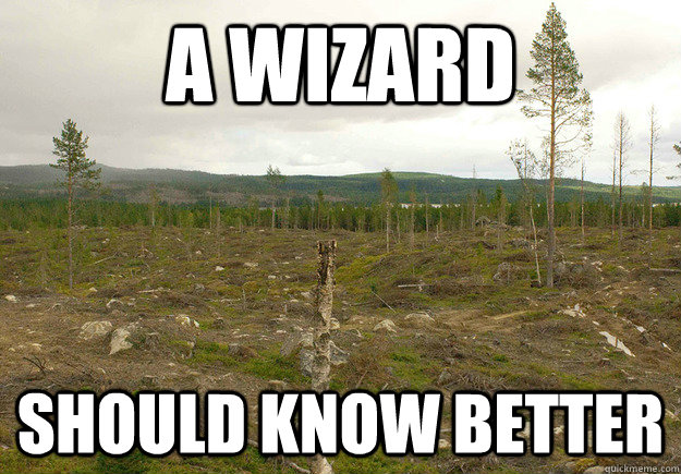 A WIZARD SHOULD KNOW BETTER - A WIZARD SHOULD KNOW BETTER  Christmas Tree Chopping