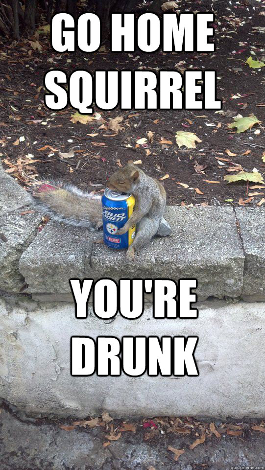 go home squirrel  you're drunk  