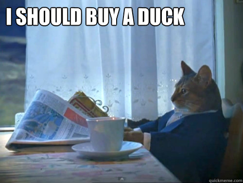 I should buy a duck   The One Percent Cat