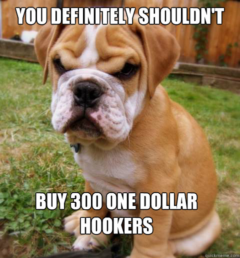 You definitely shouldn't Buy 300 one dollar hookers  Disapproving puppy