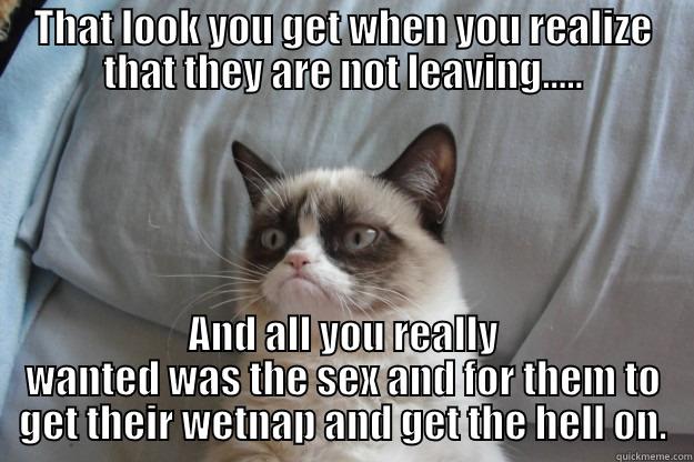 THAT LOOK YOU GET WHEN YOU REALIZE THAT THEY ARE NOT LEAVING..... AND ALL YOU REALLY WANTED WAS THE SEX AND FOR THEM TO GET THEIR WETNAP AND GET THE HELL ON. Grumpy Cat