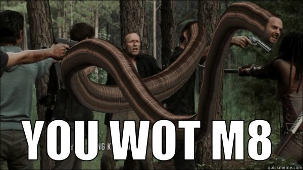  YOU WOT M8 Misc