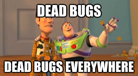 Dead bugs Dead bugs everywhere  Buzz Glitter