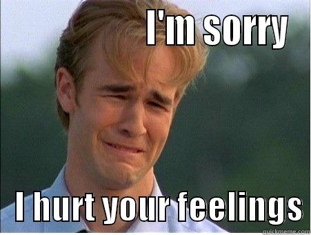                    I'M SORRY    I HURT YOUR FEELINGS 1990s Problems