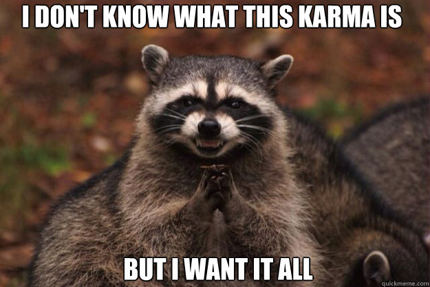 I don't know what this karma is but i want it all - I don't know what this karma is but i want it all  evil racoon