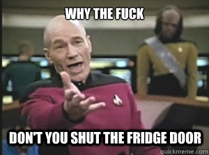 why the fuck don't you shut the fridge door  Annoyed Picard