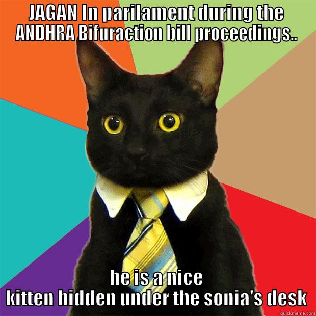 JAGAN IN PARILAMENT DURING THE ANDHRA BIFURACTION BILL PROCEEDINGS.. HE IS A NICE KITTEN HIDDEN UNDER THE SONIA'S DESK Business Cat