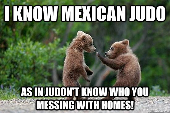 I know mexican Judo as in judon't know who you messing with homes! - I know mexican Judo as in judon't know who you messing with homes!  Judo Bear