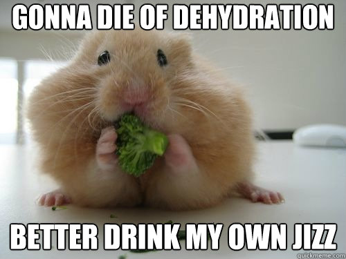 Gonna die of dehydration Better drink my own jizz  