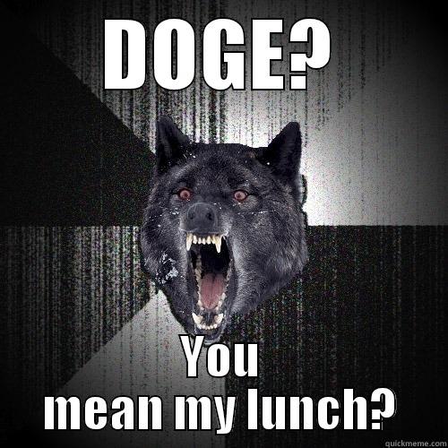 DOGE? YOU MEAN MY LUNCH? Insanity Wolf