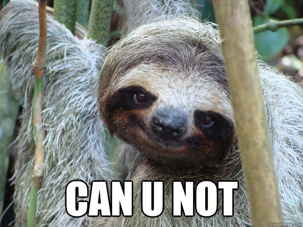  can u not -  can u not  Foul Bachelor Sloth