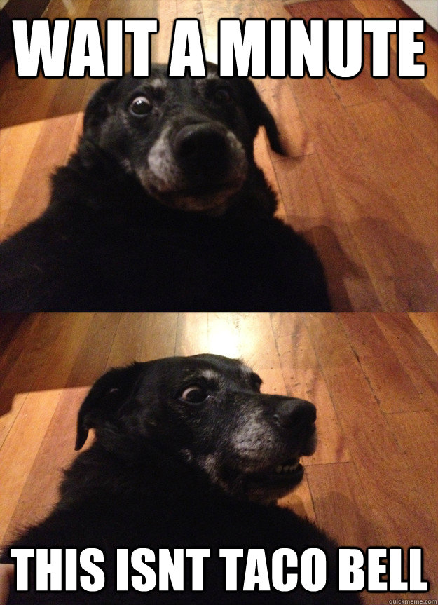 wait a minute this isnt taco bell  