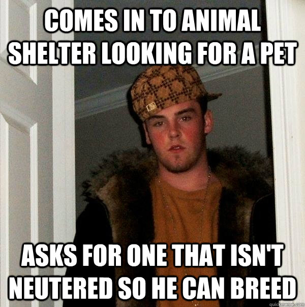 Comes in to animal shelter looking for a pet asks for one that isn't neutered so he can breed  Scumbag Steve