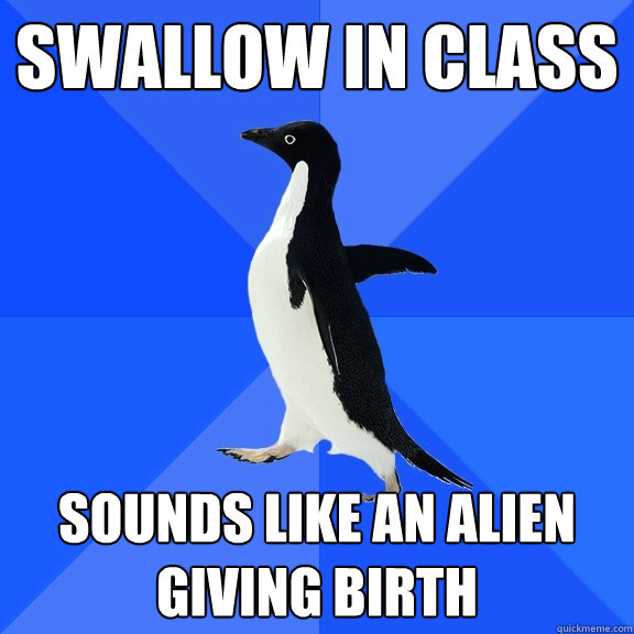 Swallow in class Sounds like an Alien giving birth  Socially Awkward Penguin