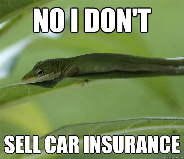 No I don't  Sell Car insurance  