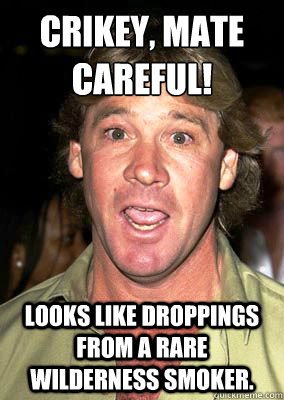 Crikey, mate
careful! Looks like droppings from a rare wilderness smoker. - Crikey, mate
careful! Looks like droppings from a rare wilderness smoker.  Bad Luck Steve Irwin