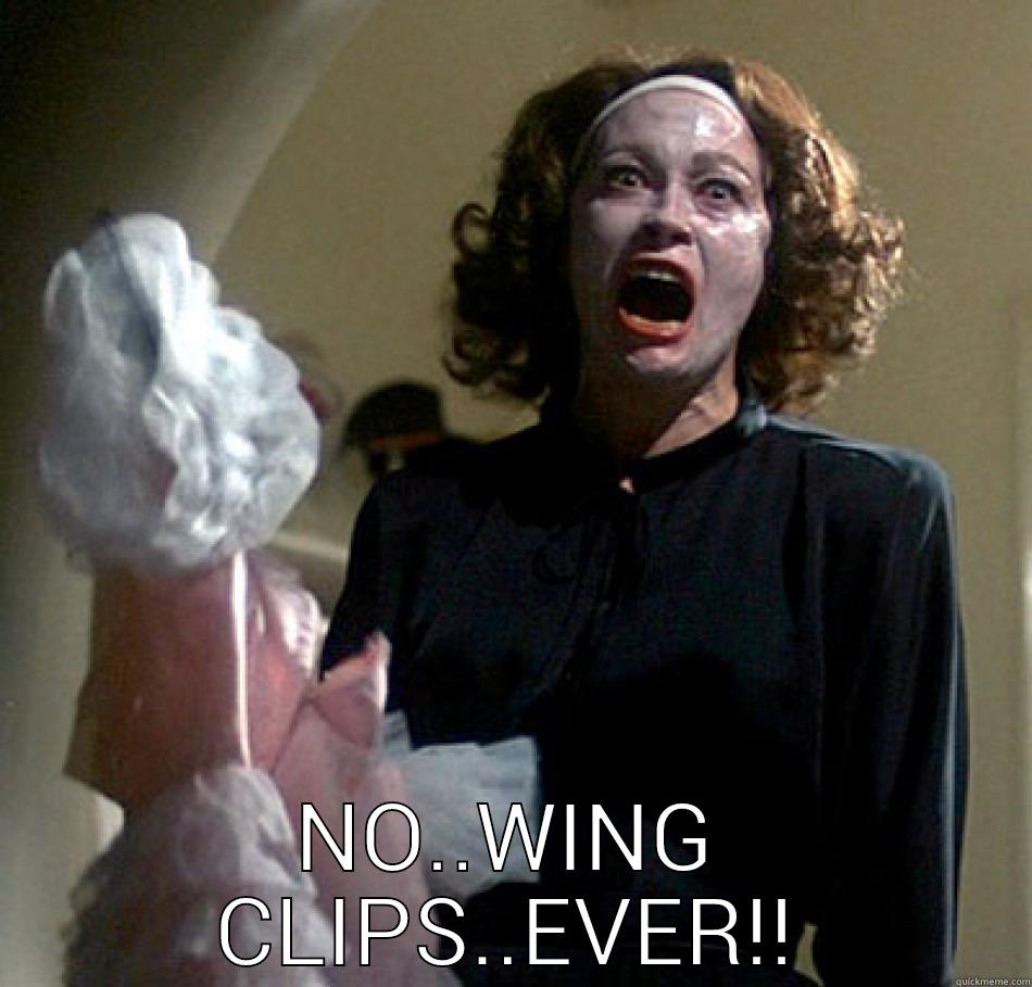  NO..WING CLIPS..EVER!! Misc