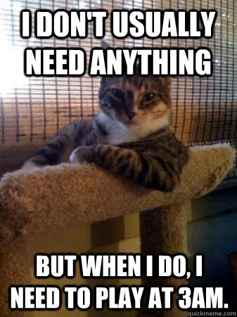 I don't usually need anything but when I do, i need to play at 3am.  The Most Interesting Cat in the World