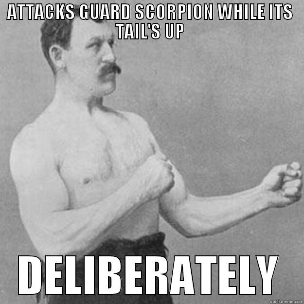 ATTACKS GUARD SCORPION WHILE ITS TAIL'S UP DELIBERATELY overly manly man