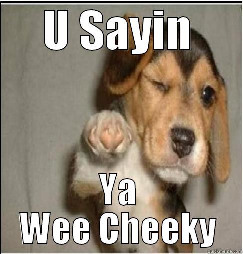 U Sayin Ya Wee Cheeky - U SAYIN YA WEE CHEEKY Misc