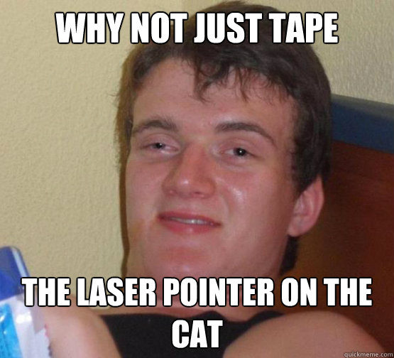 why not just tape the laser pointer on the cat - why not just tape the laser pointer on the cat  10 Guy ordering Pizza