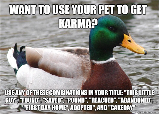 Want to use your pet to get karma? Use any of these combinations in your title: 