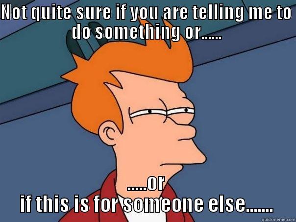 NOT QUITE SURE IF YOU ARE TELLING ME TO DO SOMETHING OR...... .....OR IF THIS IS FOR SOMEONE ELSE....... Futurama Fry