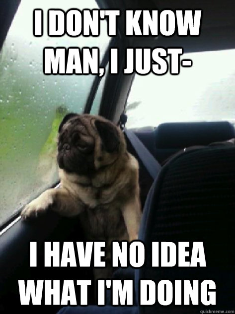 I don't know man, I just- I have no idea what i'm doing  Introspective Pug