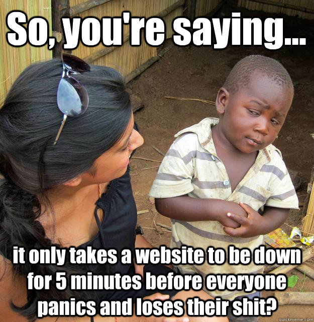 So, you're saying... it only takes a website to be down for 5 minutes before everyone panics and loses their shit?  3rd World Skeptical Child