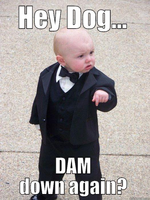HEY DOG... DAM DOWN AGAIN? Baby Godfather