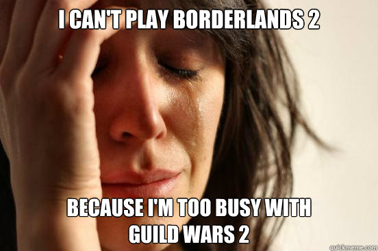 I can't play Borderlands 2 Because I'm too busy with
Guild Wars 2  First World Problems