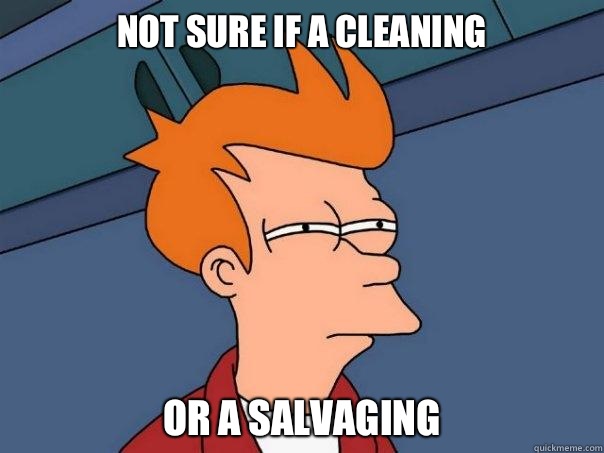 Not sure if a cleaning Or a salvaging   Futurama Fry