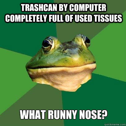 Trashcan by computer completely full of used tissues What runny nose?  Foul Bachelor Frog