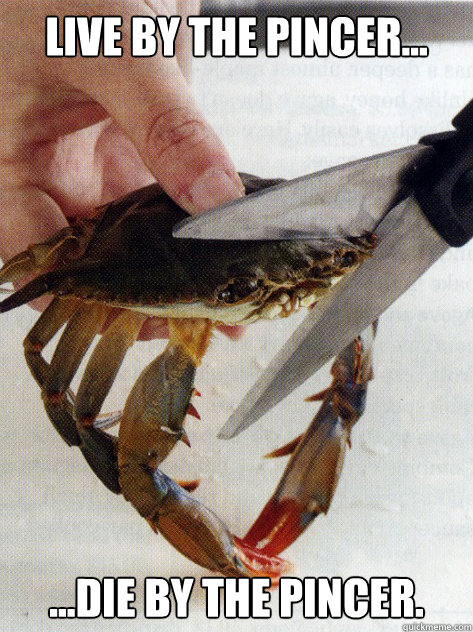 Live by the pincer... ...die by the pincer. - Live by the pincer... ...die by the pincer.  Optimistic Crab