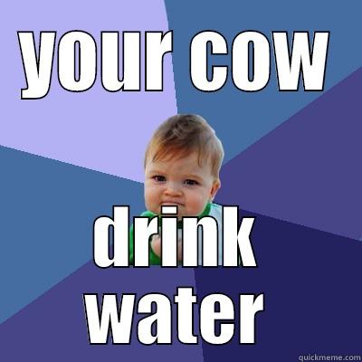 YOUR COW DRINK WATER Success Kid