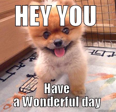 WONDER DOG OF HAPPINESSE - HEY YOU HAVE A WONDERFUL DAY Misc