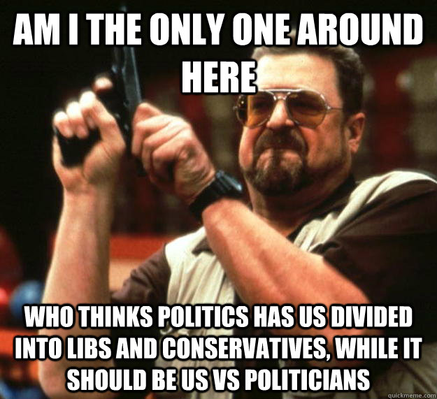 am I the only one around here who thinks politics has us divided into libs and conservatives, while it should be us vs politicians  Angry Walter