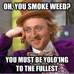 Oh, you smoke weed? You must be YOLO'ing to the fullest  Condescending Wonka